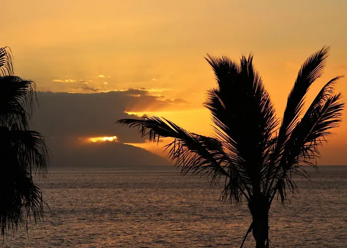 Beautiful Sunset
